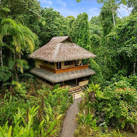 Copa De Arbol Beach & Rainforest Resort Drake Bay Exterior photo