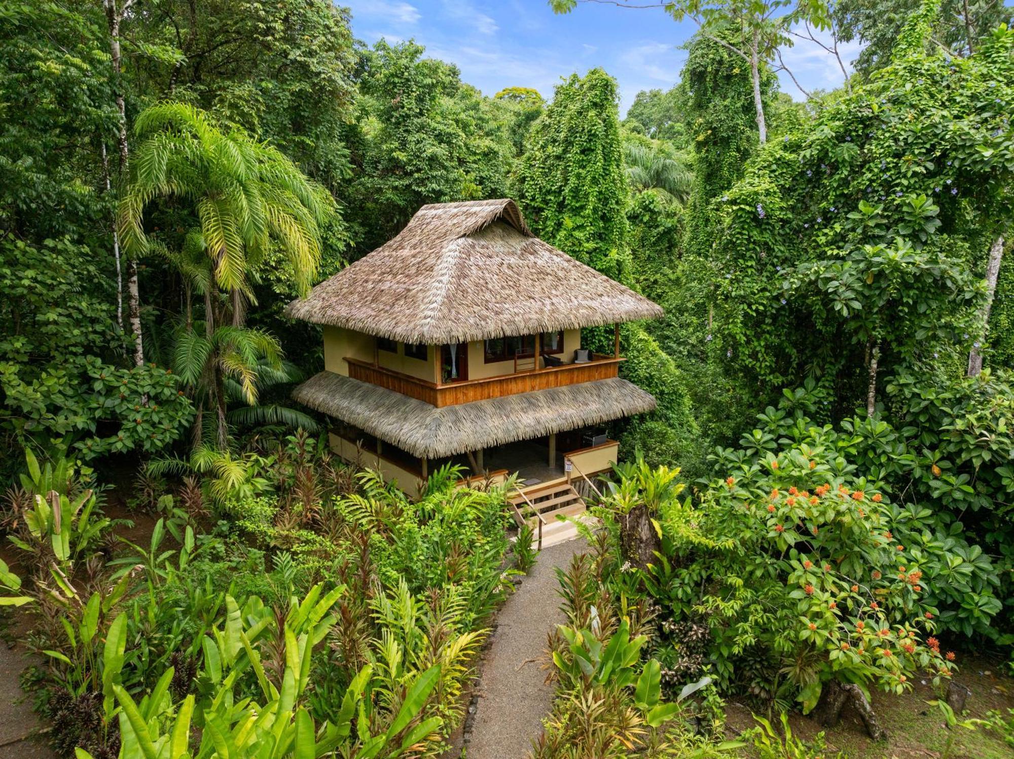 Copa De Arbol Beach & Rainforest Resort Drake Bay Exterior photo
