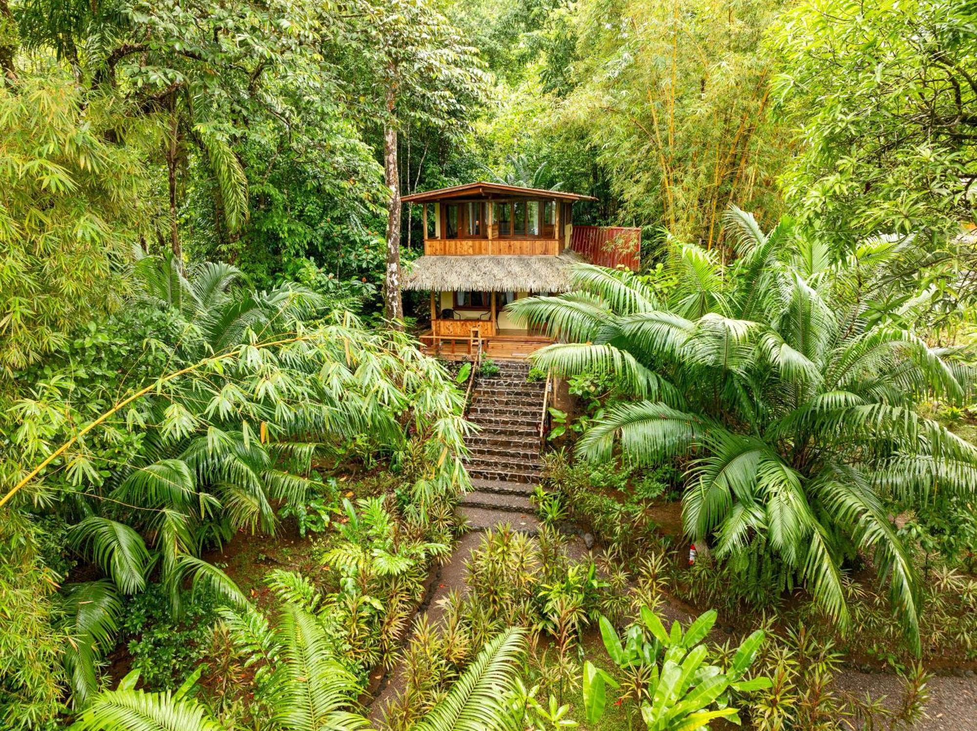 Copa De Arbol Beach & Rainforest Resort Drake Bay Exterior photo