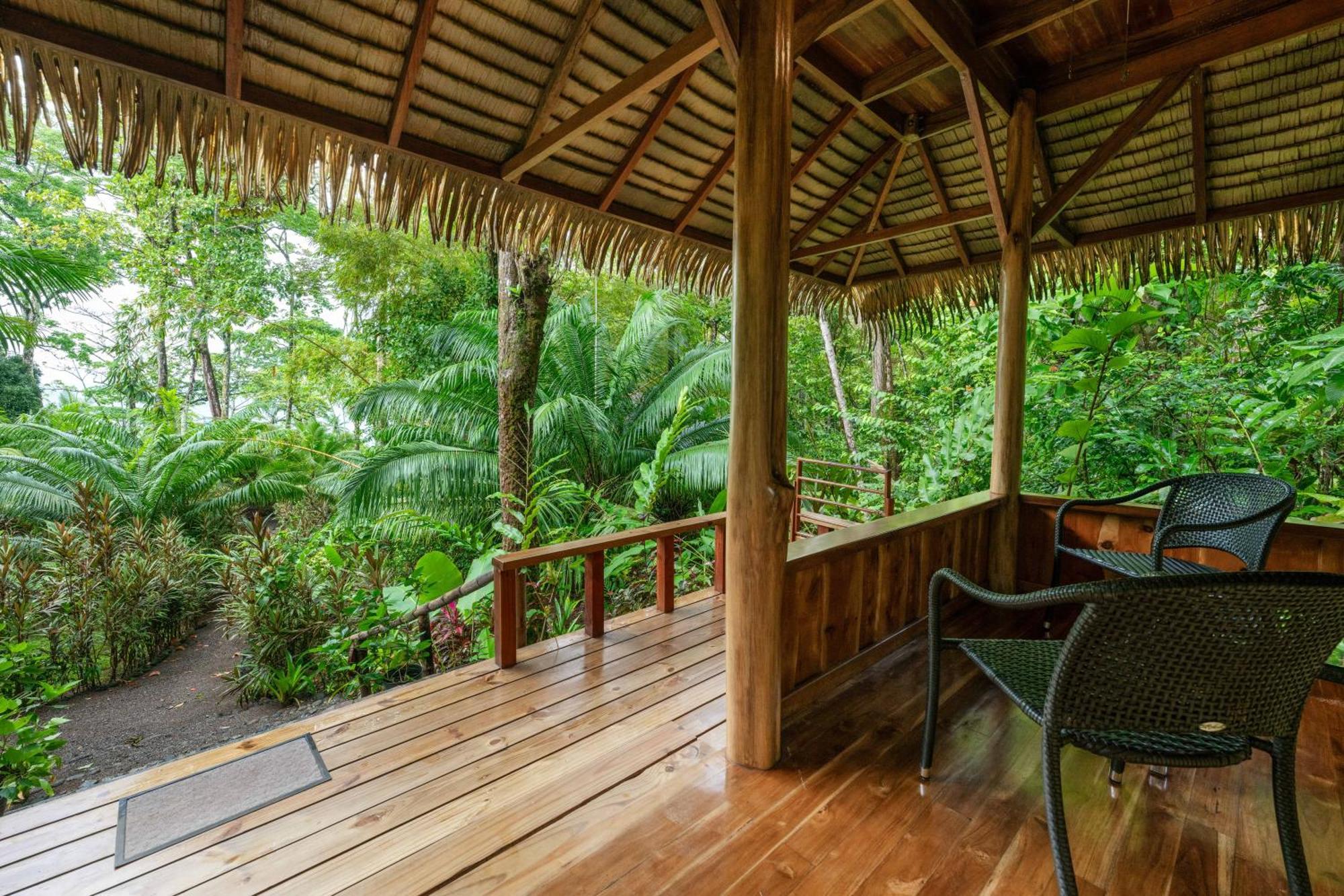 Copa De Arbol Beach & Rainforest Resort Drake Bay Exterior photo