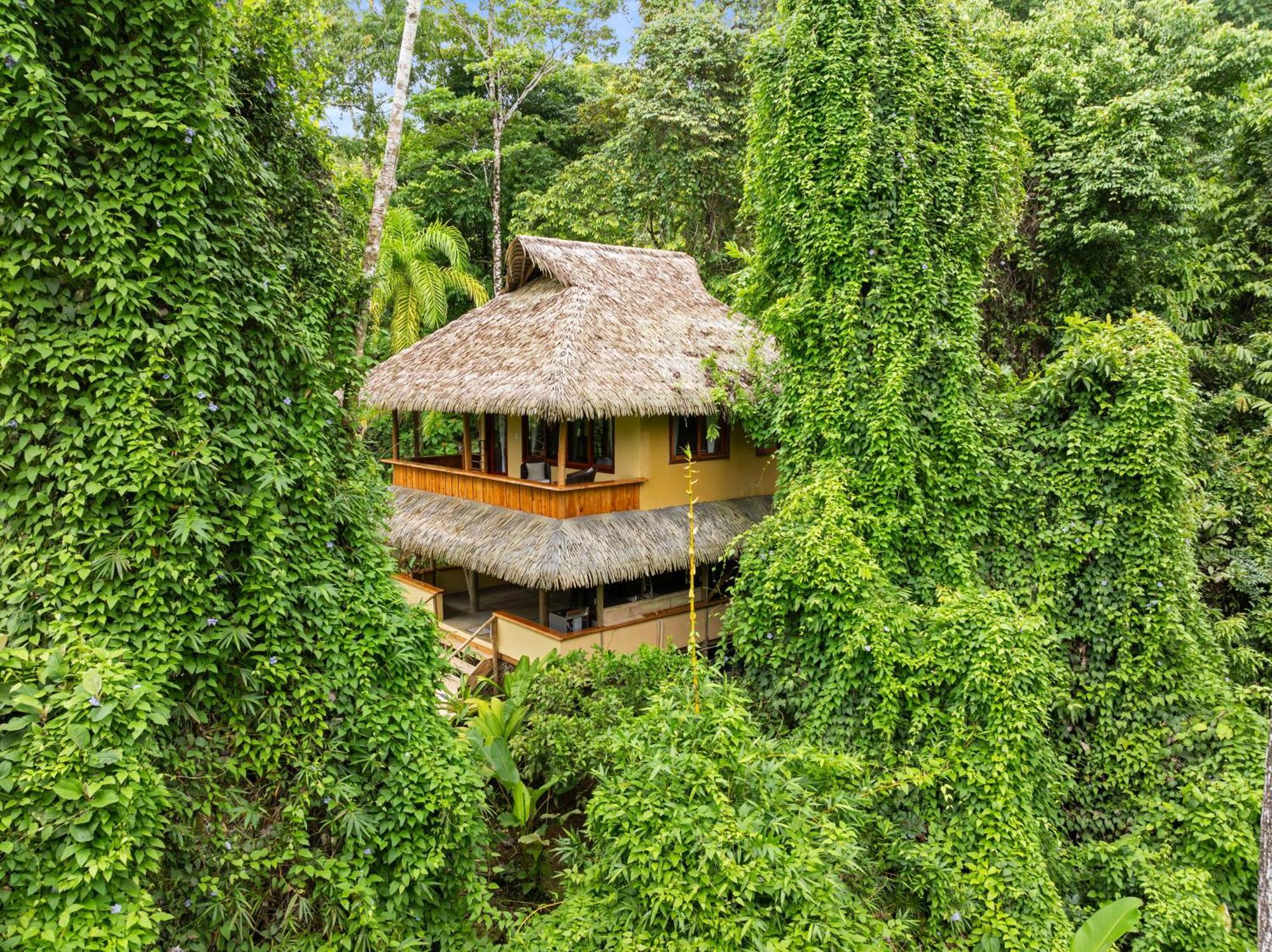 Copa De Arbol Beach & Rainforest Resort Drake Bay Exterior photo