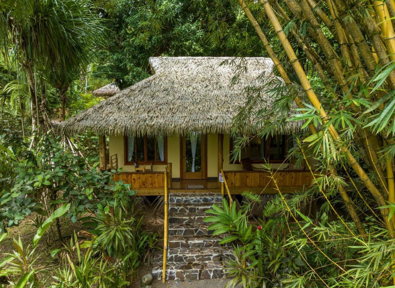 Copa De Arbol Beach & Rainforest Resort Drake Bay Exterior photo