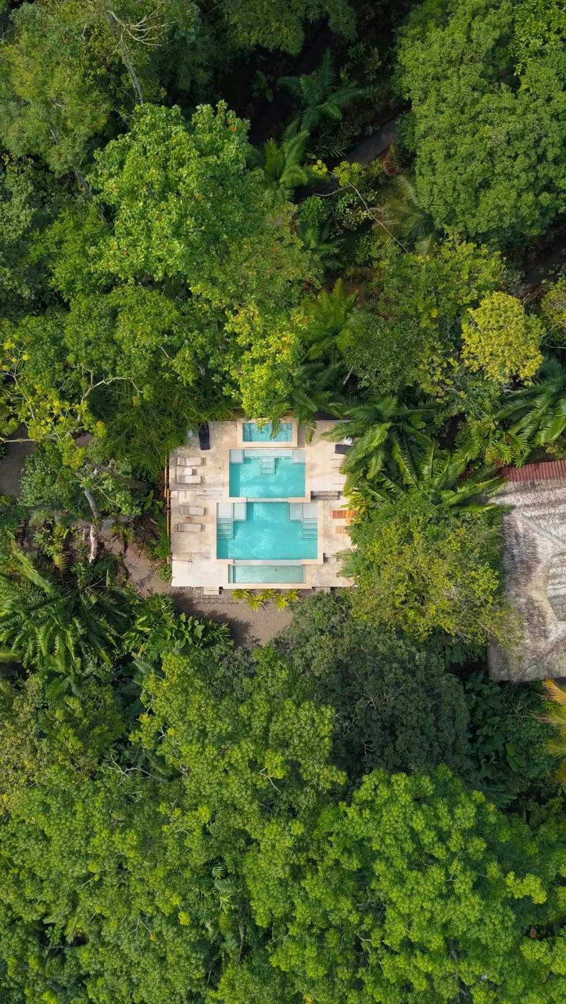 Copa De Arbol Beach & Rainforest Resort Drake Bay Exterior photo