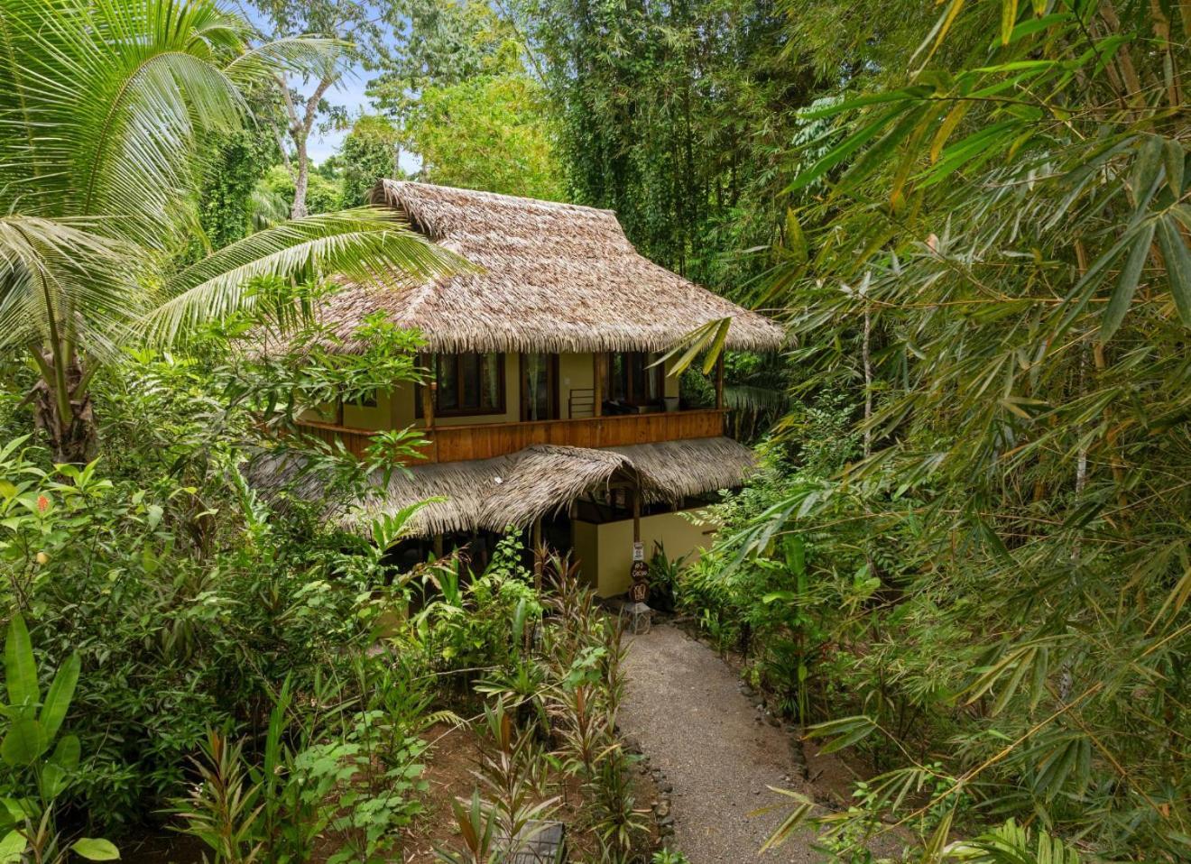 Copa De Arbol Beach & Rainforest Resort Drake Bay Exterior photo