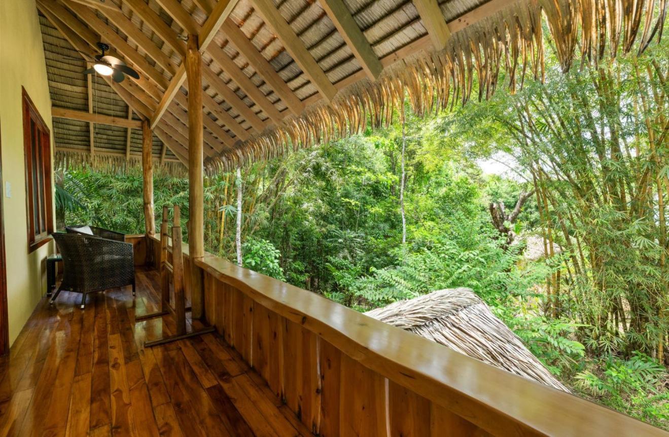 Copa De Arbol Beach & Rainforest Resort Drake Bay Exterior photo