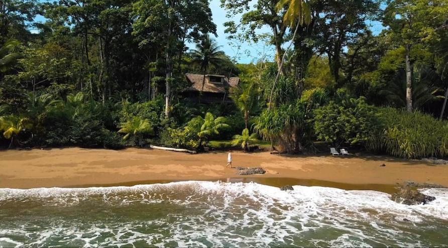 Copa De Arbol Beach & Rainforest Resort Drake Bay Exterior photo