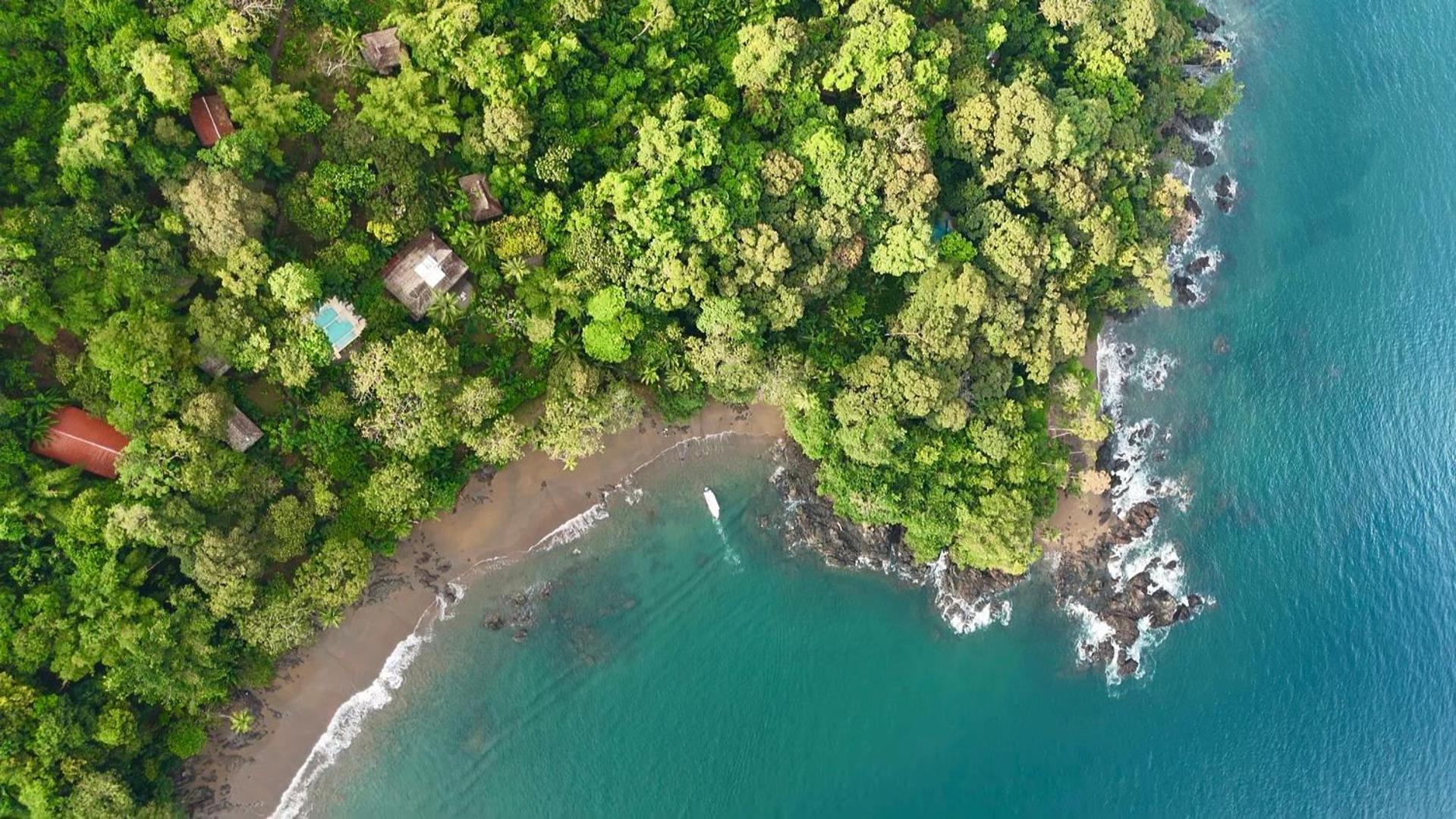 Copa De Arbol Beach & Rainforest Resort Drake Bay Exterior photo